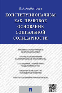 Конституционализм как правовое основание социальной солидарности. Монография