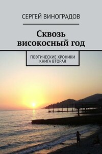 Сквозь високосный год. Поэтические хроники. Книга вторая