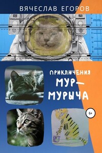 Приключения Мур-Мурыча