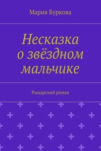 Несказка о звёздном мальчике. Рыцарский роман