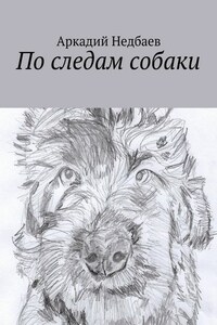 По следам собаки