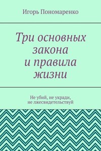 Три основных закона и правила жизни. Не убий, не укради, не лжесвидетельствуй