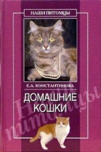 Домашние кошки