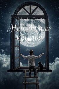 Невидимые крылья