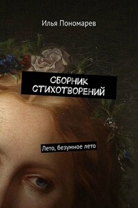 Сборник стихотворений. Лето, безумное лето