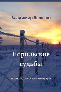 Норильские судьбы. Повести, рассказы, мемуары