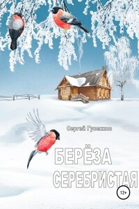 Берёза серебристая