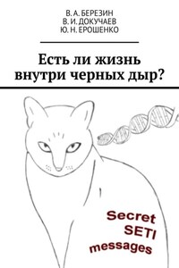 Есть ли жизнь внутри черных дыр?