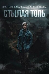 Стылая Топь. Книга 1