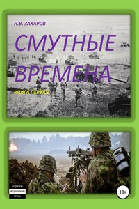 Смутные времена. Книга 1