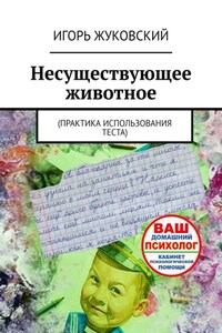 Несуществующее животное. Практика использования теста