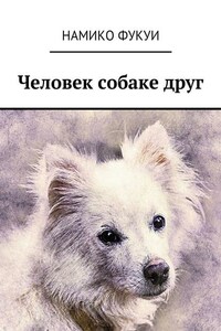 Человек собаке друг