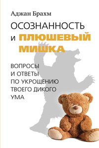 Осознанность и плюшевый мишка. Вопросы и ответы по укрощению твоего дикого ума