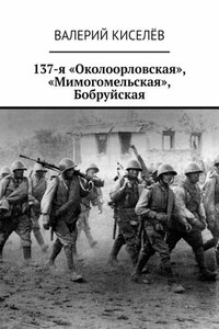 137-я «Околоорловская», «Мимогомельская», Бобруйская