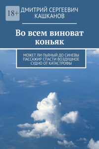 Во всем виноват коньяк. Может ли пьяный до синевы пассажир спасти воздушное судно от катастрофы