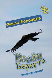 Полёт беркута. Философия моей души – 3