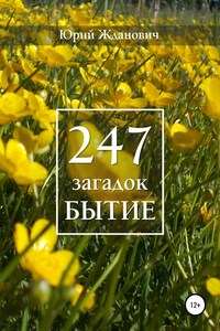 247 загадок. Бытие