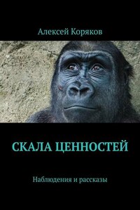 Скала ценностей. Наблюдения и рассказы