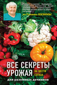 Все секреты урожая на шести сотках для разумных дачников от Галины Кизимы