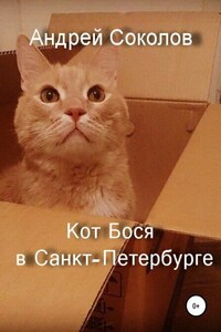 Кот Бося в Санкт-Петербурге