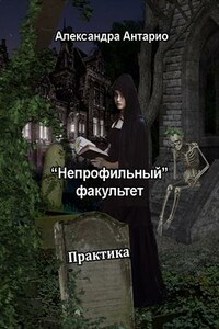 "Непрофильный" факультет. Практика