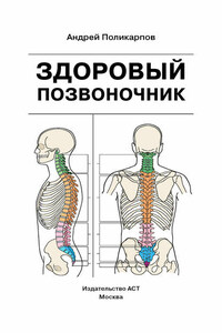 Здоровый позвоночник