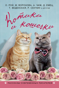 Котики и кошечки (сборник)