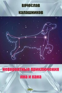 Невероятные приключения Ина и Кана