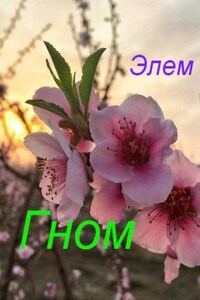 Гном