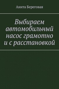 Выбираем автомобильный насос грамотно и с расстановкой