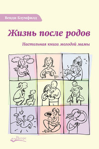 Жизнь после родов. Настольная книга молодой мамы