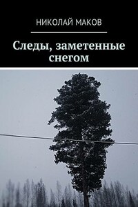 Следы, заметенные снегом