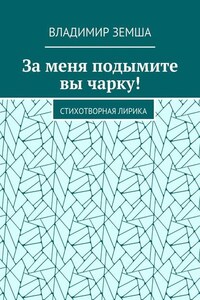 За меня подымите вы чарку! Стихотворная лирика