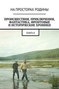 Происшествия, приключения, фантастика, фронтовые и исторические хроники. Книга 8