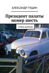 Президент палаты номер шесть. Страна дураков