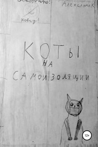 Коты на самоизоляции