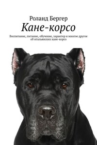 Кане-корсо. Воспитание, питание, обучение, характер и многое другое об итальянских кане-корсо