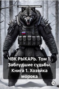 ЧВК РЫКАРЬ. Том 1. Заблудшие судьбы. Книга 1. Хозяйка морока