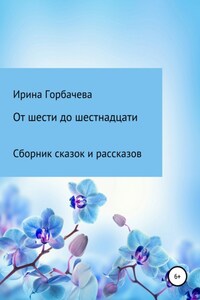 От шести до шестнадцати