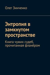 Энтропия в замкнутом пространстве. Книга чужих судеб, прочитанная фланёром