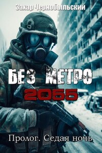 Без метро 2055. Пролог. Седая ночь