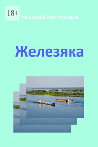 Железяка