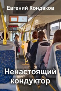 Ненастоящий кондуктор в маршрутке