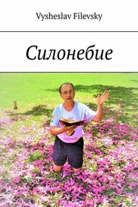 Силонебие