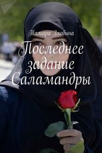 Последнее задание Саламандры. Военная драма