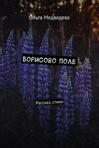 Борисово поле. Рассказ, стихи