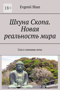 Шхуна Скопа. Новая реальность мира. Сон в зимнюю ночь