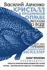 Кристалл в прозрачной оправе. Рассказы о воде и камнях