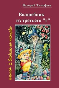 Волшебник из третьего «г». Книга 2. Особняк на площади