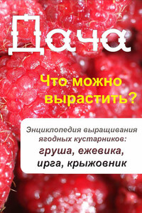 Что можно вырастить? Энциклопедия выращивания ягодных кустарников: груша, ежевика, ирга, крыжовник